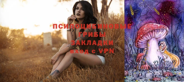 твердый Балахна